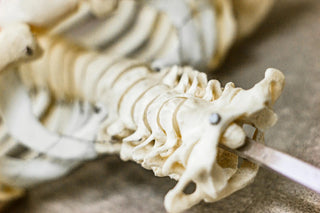 How To Sleep With A Slipped Disc